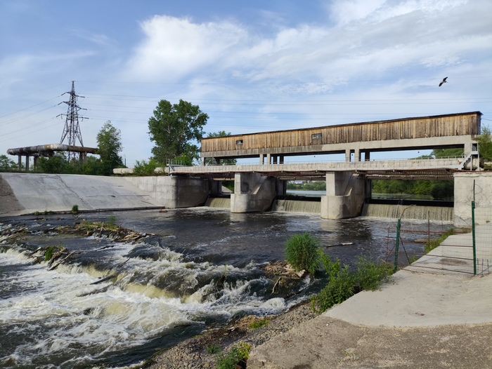 На этом фото видно подлетающую цаплю
