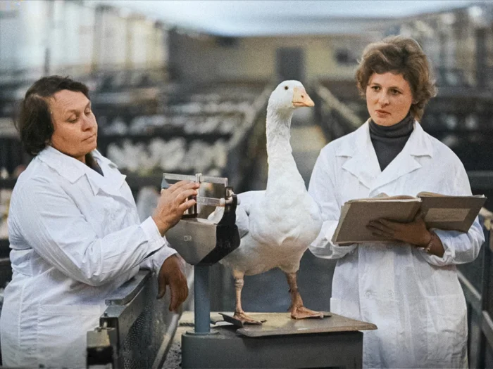 Фотограф: Чепурко Александр Фотограф: Чепурко Александр