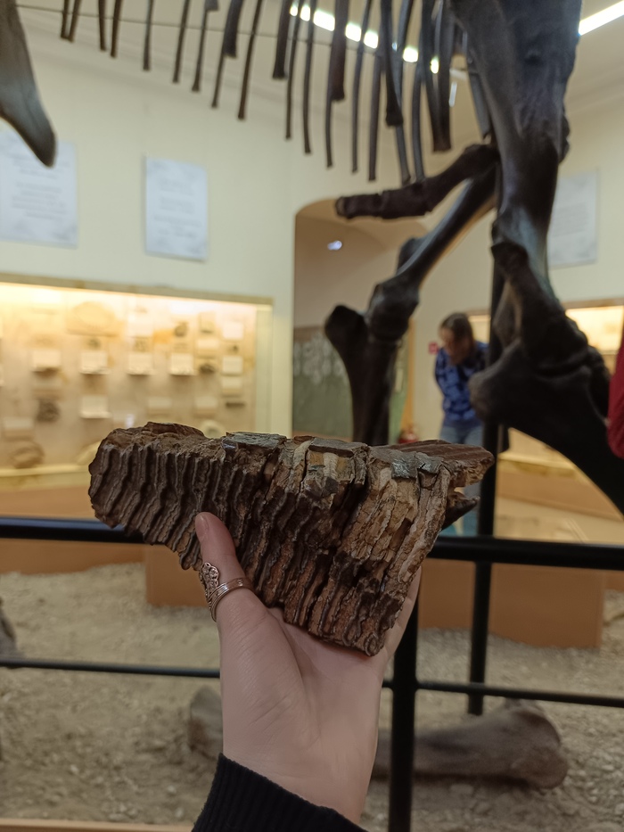 Съездила к коллегам музейщикам