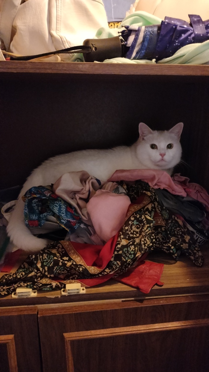 �������� ���� ���� 3