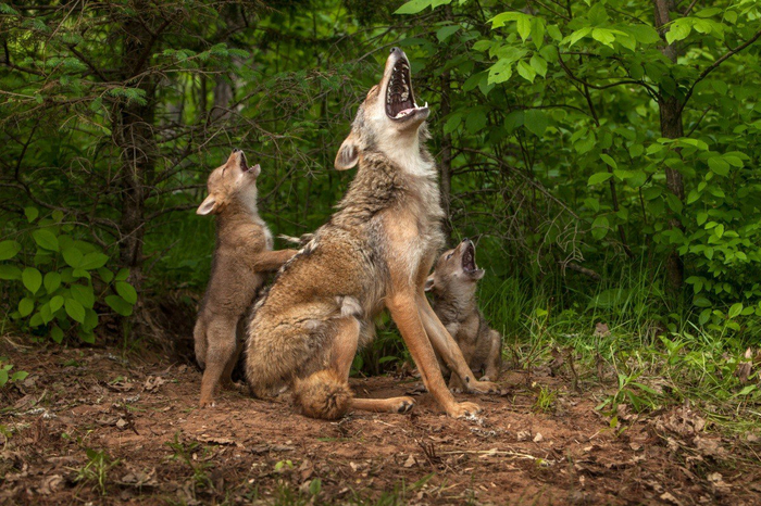  <a href="https://pikabu.ru/story/mamina_shkola_13346649?u=https%3A%2F%2Ft.me%2Fvokrugsveta1861%2F19223&t=%D0%BE%D1%82%D1%81%D1%8E%D0%B4%D0%B0&h=0bb7f2e98e4e2ce9dd0e593280de6c76f72588a2" title="https://t.me/vokrugsveta1861/19223" target="_blank" rel="nofollow noopener"></a>