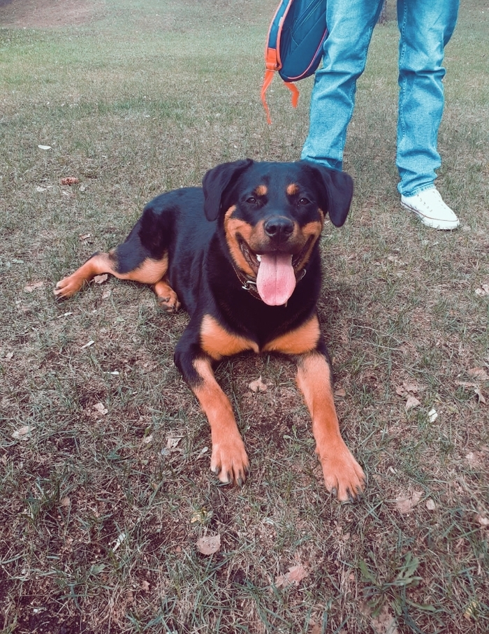 Все котов постят а я бабаку