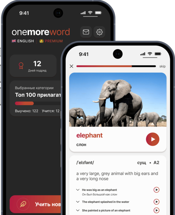 Как навайб-кодить конкурента Duolingo за вечер и заработать миллион (кликбейт детектед)