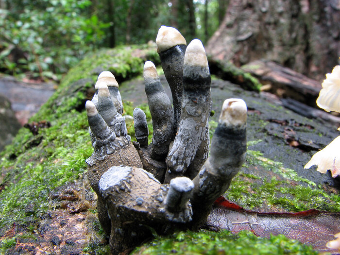  Ron   <!--noindex--><a href="https://pikabu.ru/story/paltsyi_mertvetsa_13352954?u=http%3A%2F%2Fflick.com&t=flick.com&h=403116d042360490c30c81c8cab36f99169769d6" title="http://flick.com" target="_blank" rel="nofollow noopener">flick.com</a><!--/noindex-->.