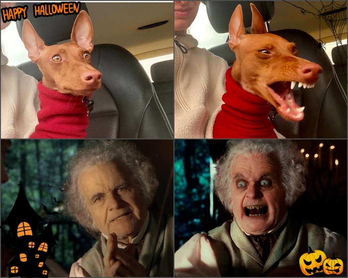 Happy, Happy Halloween...