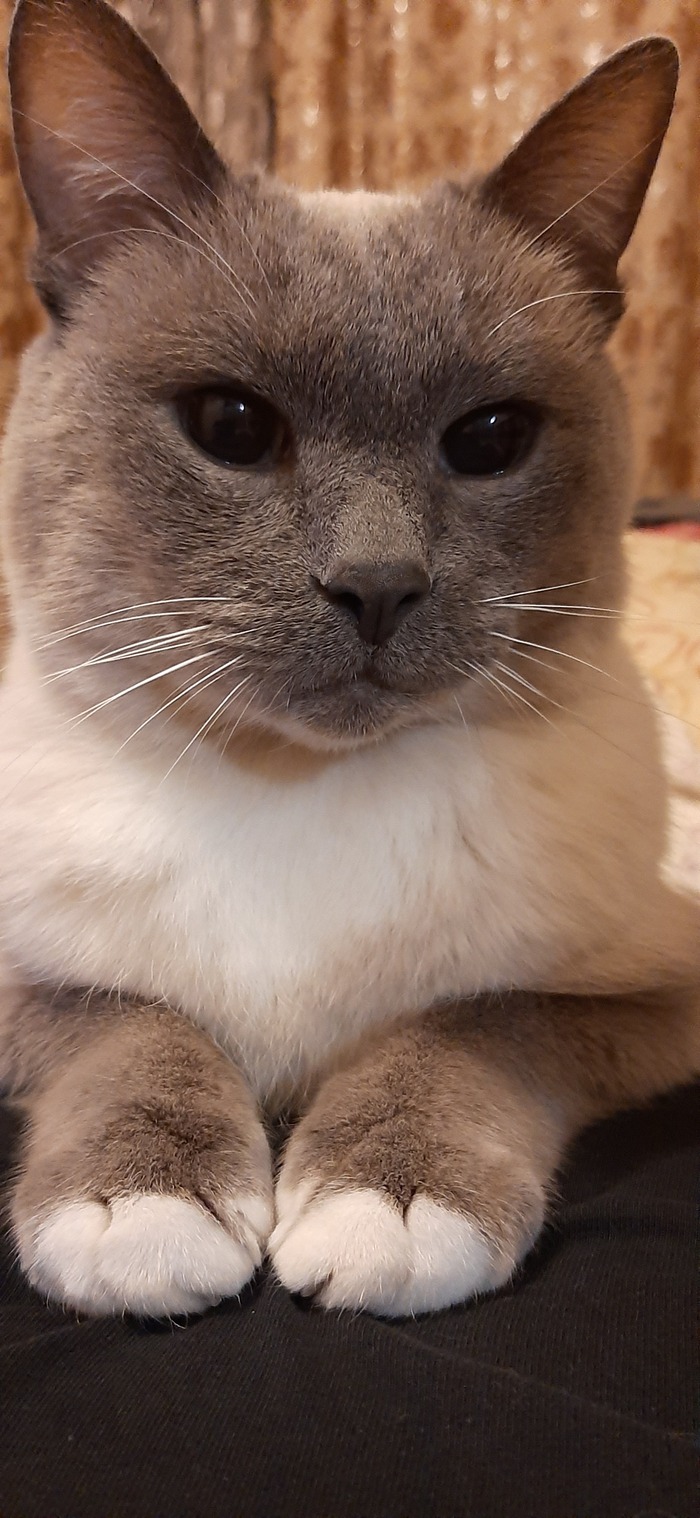 ���� ���� ������ ���������