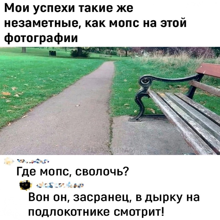 Мопс