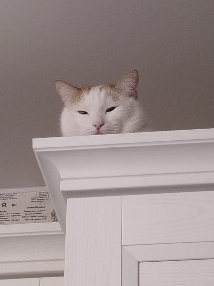 Наша система наблюдения