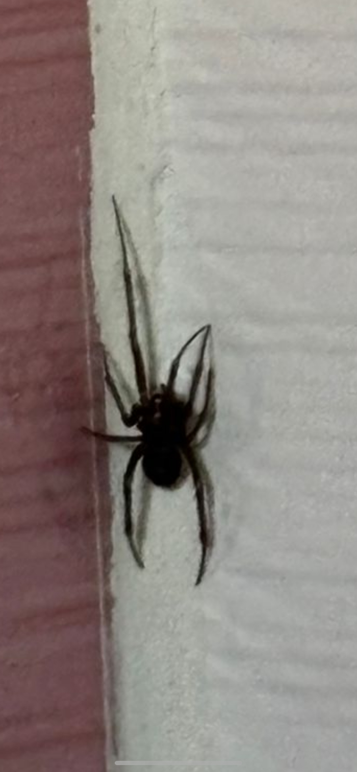  ,      (    ). ,    ( )    .   2  .      ,  .  ,   ,    . 