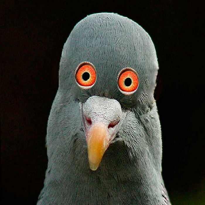 Зарисовка. Традиция. утренний бред :)