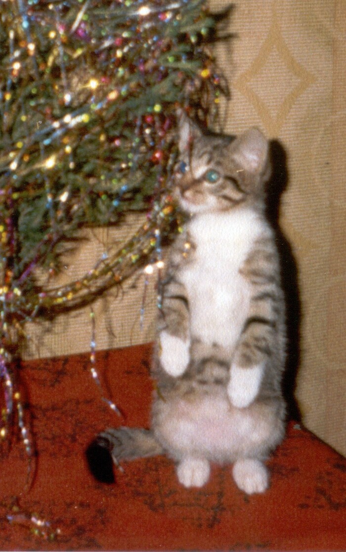 Что - ещё не пора?!