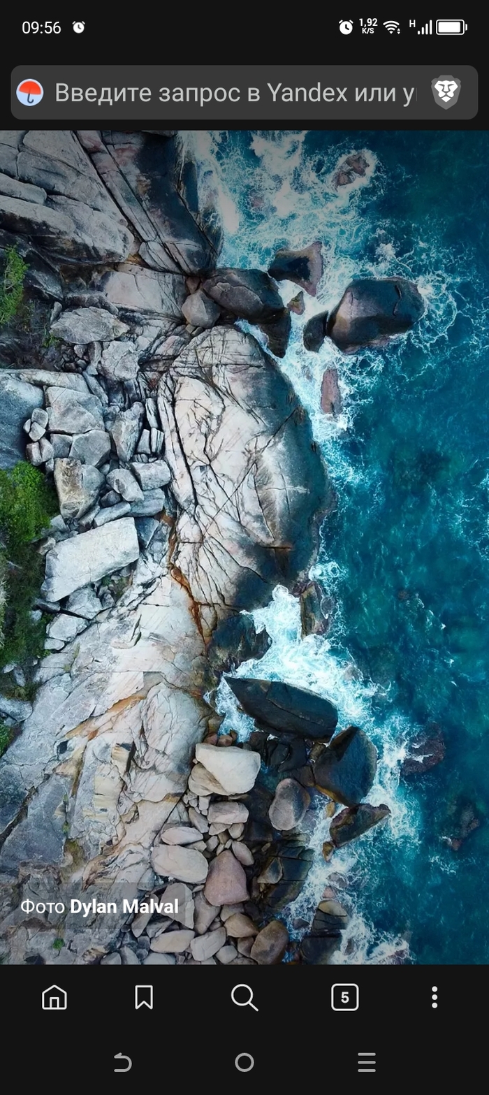    ,     ( )     Brave  ?