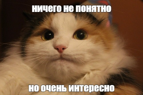  ? (Honour of the Grave) :  . .  