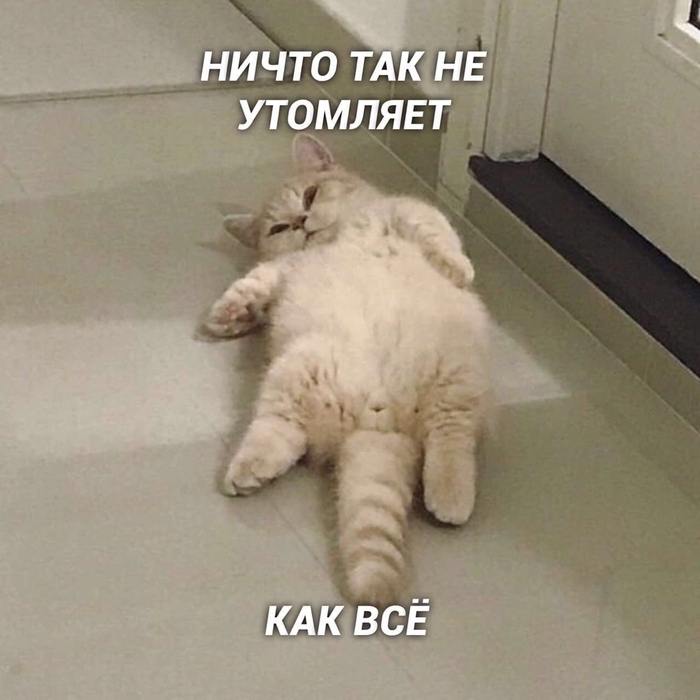 Кошичкина полиция