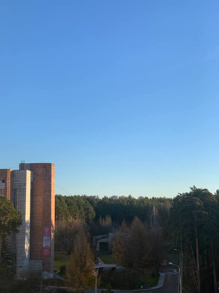 166 дней Есенина #42