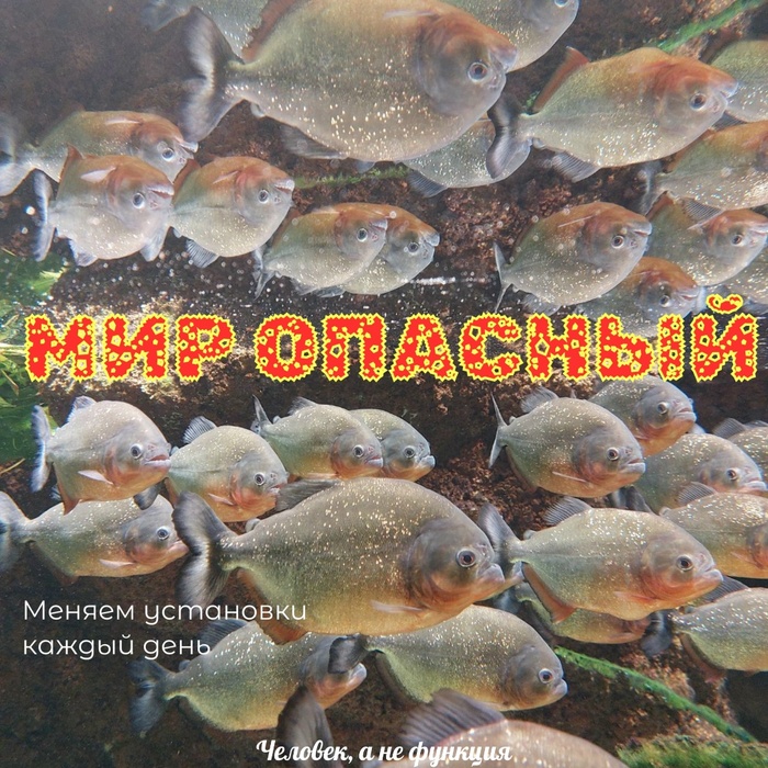 ������� �� �����-�������������� �����������