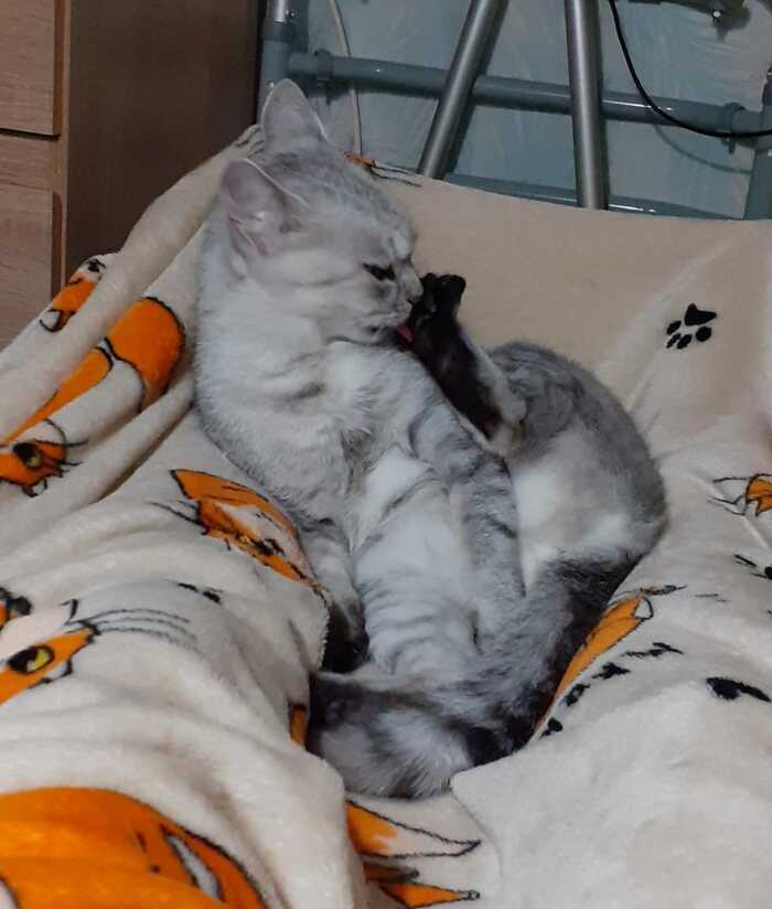 Ответ на пост «Умывашки»