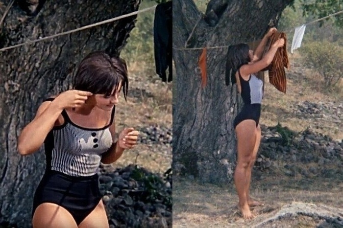       ,    ,     ,        ,  , .