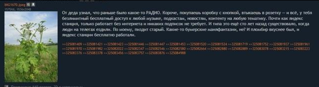 ЗУМЕРЫ ПОЗНАЮТ МИР