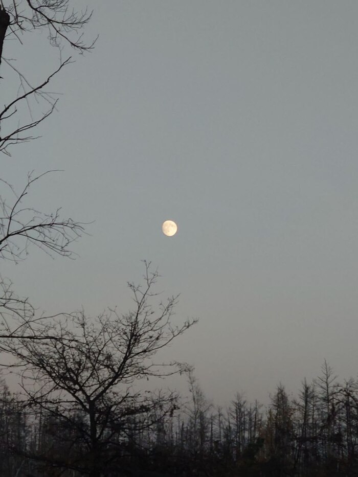 Купянск, просто луна