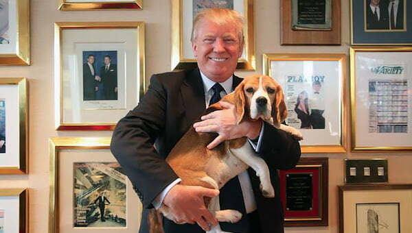 Трамп заявил