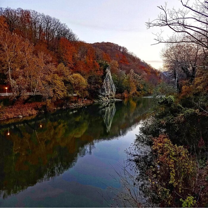 Осенний петушок