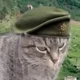 ������ ������������ Riconstalinist