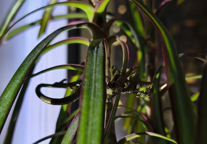       . ,  ,   ,  .      ,       .