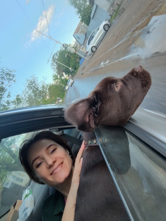 А реально, замечали, что ваша собака-это вы, но с хвостом? Смотрю на свою и думаю -+ я )))есть кайф, делитесь фотками, заценим)))