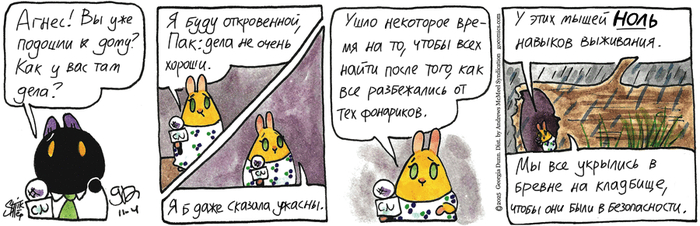 Котейкины Новости от 04.11.2025