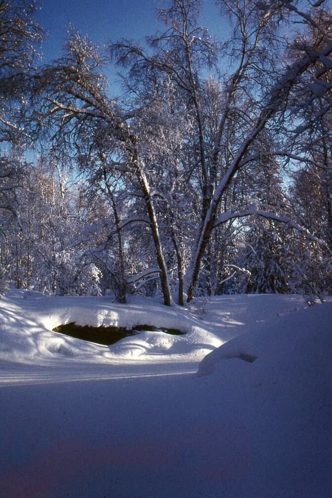  -   ,       1993-94 .