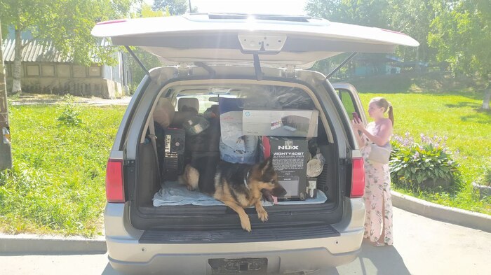        ,   14   (  , , ,      ...     )