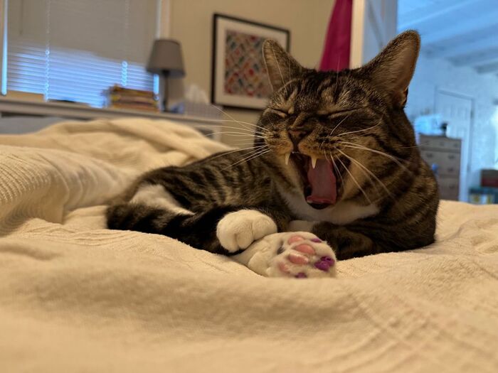 Я сегодня за станком две нормы отфрезеровал Я устал, я устал