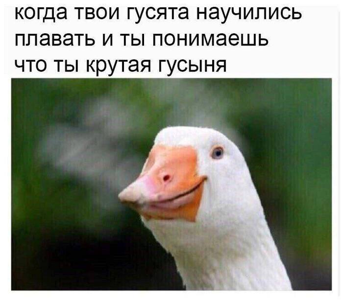 Приятное