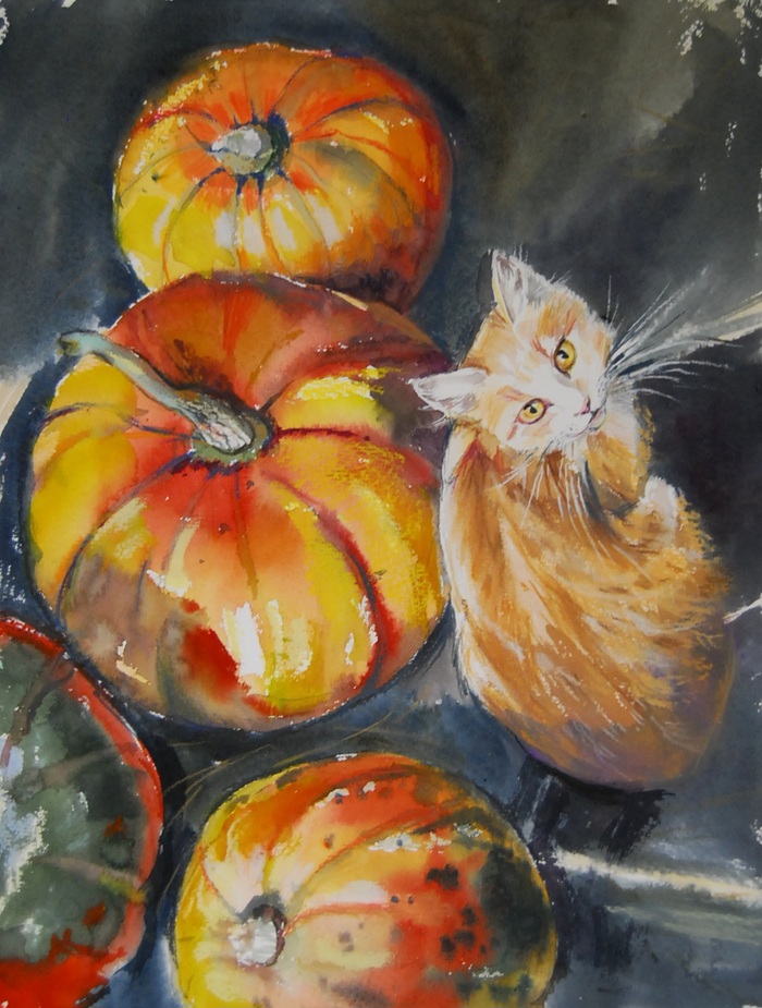 Кот и тыквы