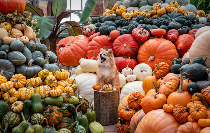      , //: Ben Birchall/PA Images via Getty Images
