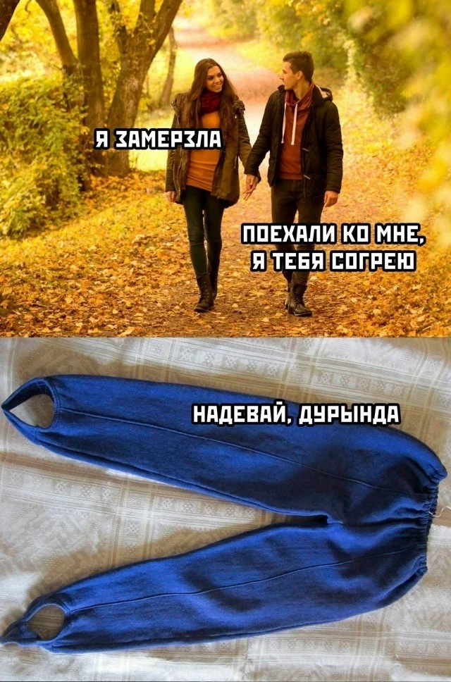 aeaexzsp.webp