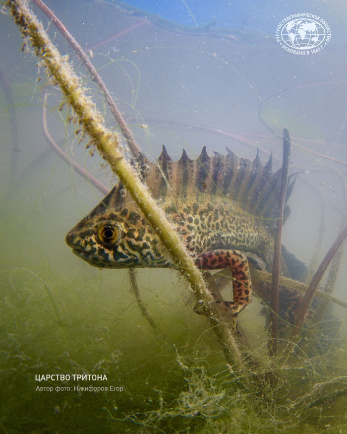 :  ,      - <a href="https://pikabu.ru/story/drakonyi_nashikh_vodoyomov_13364059?u=https%3A%2F%2Ft.me%2Fc%2F1937900284%2F25016&t=%D0%BE%D1%82%D1%81%D1%8E%D0%B4%D0%B0&h=9f6844f6e6c0b80af9b426080dc75e35199c23f4" title="https://t.me/c/1937900284/25016" target="_blank" rel="nofollow noopener"></a>