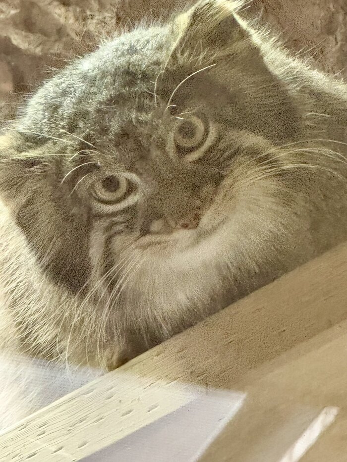 Вставай давай. Кончились выходные