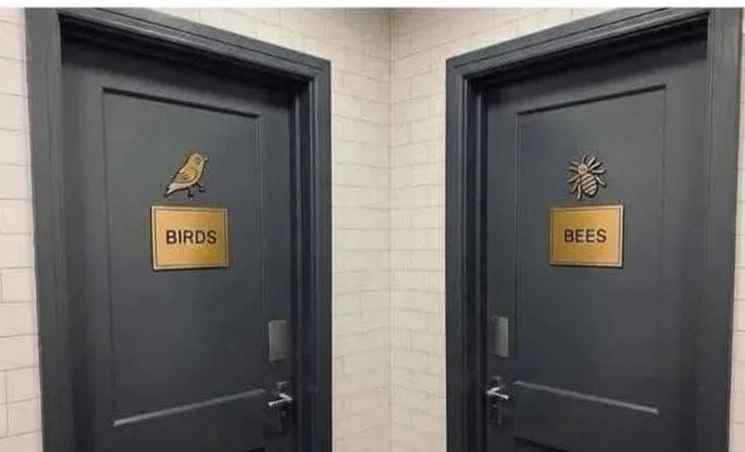 В какую дверь вы бы забежали?