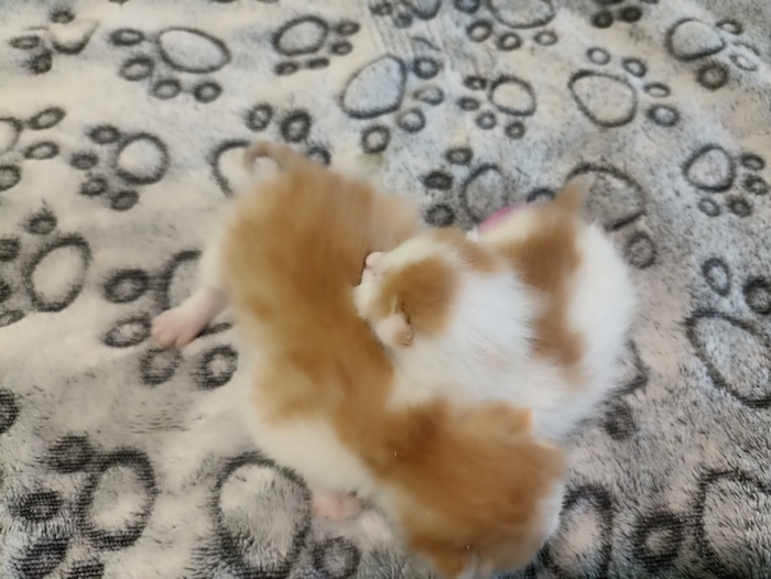 Продолжение поста «Опять +5»