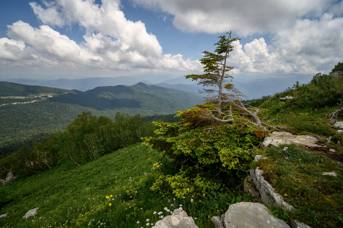 Плато Лаго-Наки