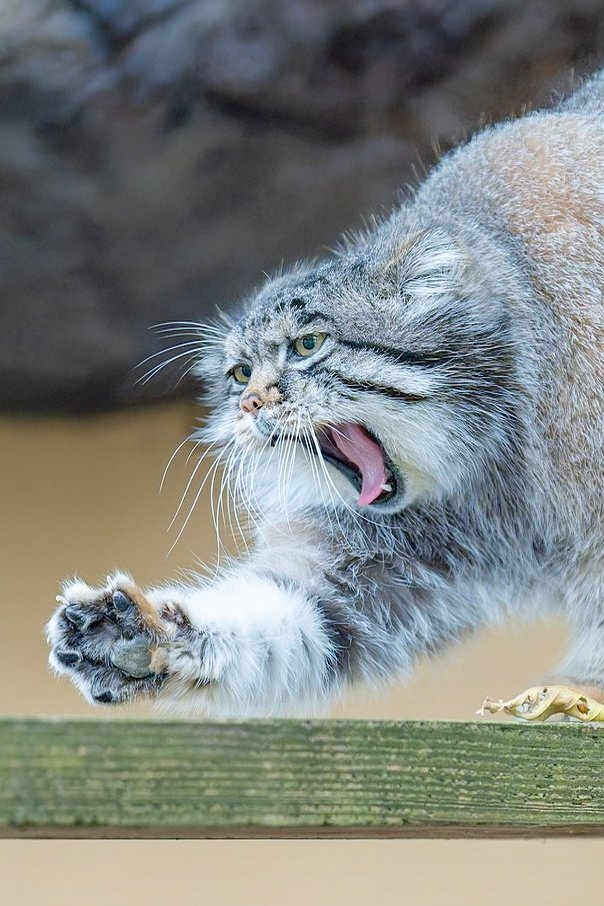 �������!