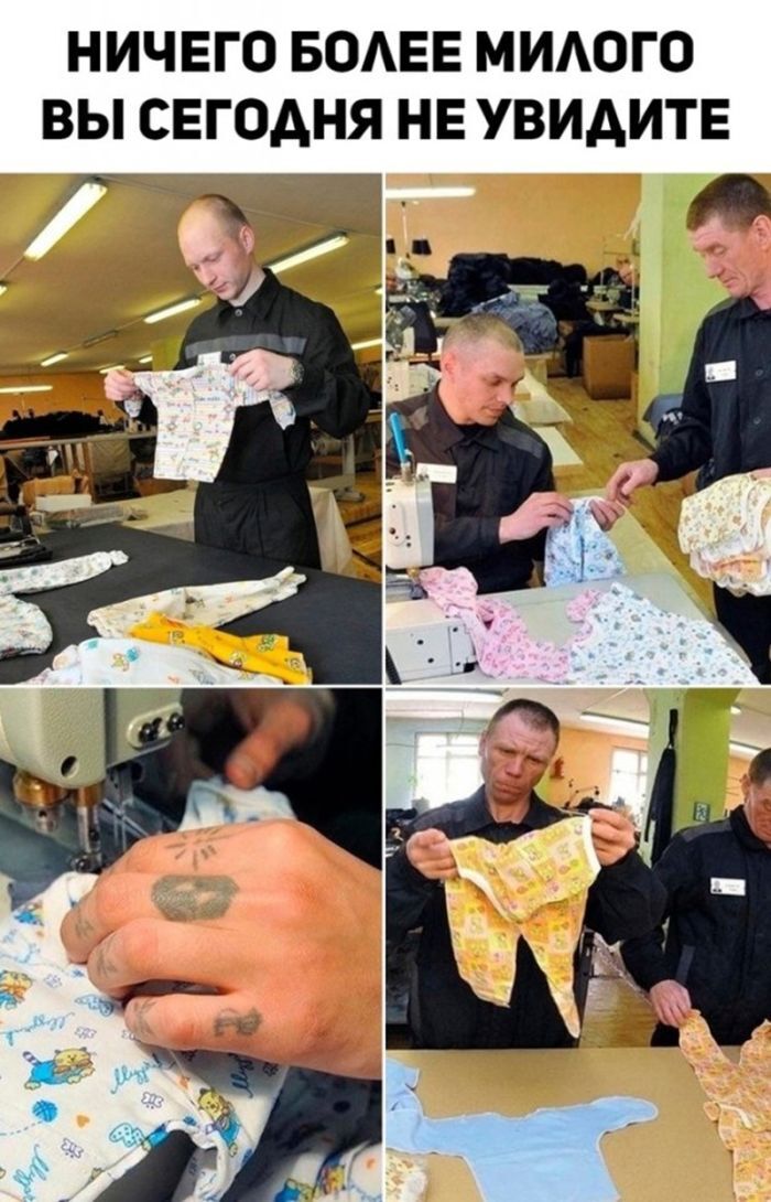 Милота дня)