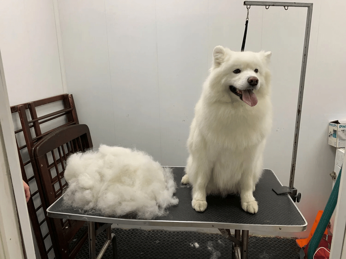 Здесь творилось страшное