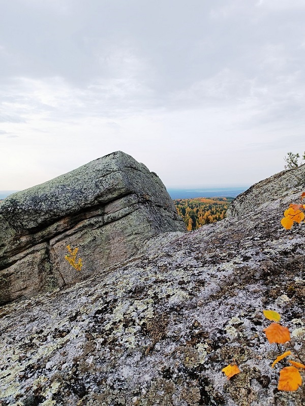 Фото: Вера Ершова