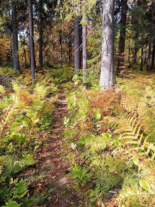 Фото: Вера Ершова