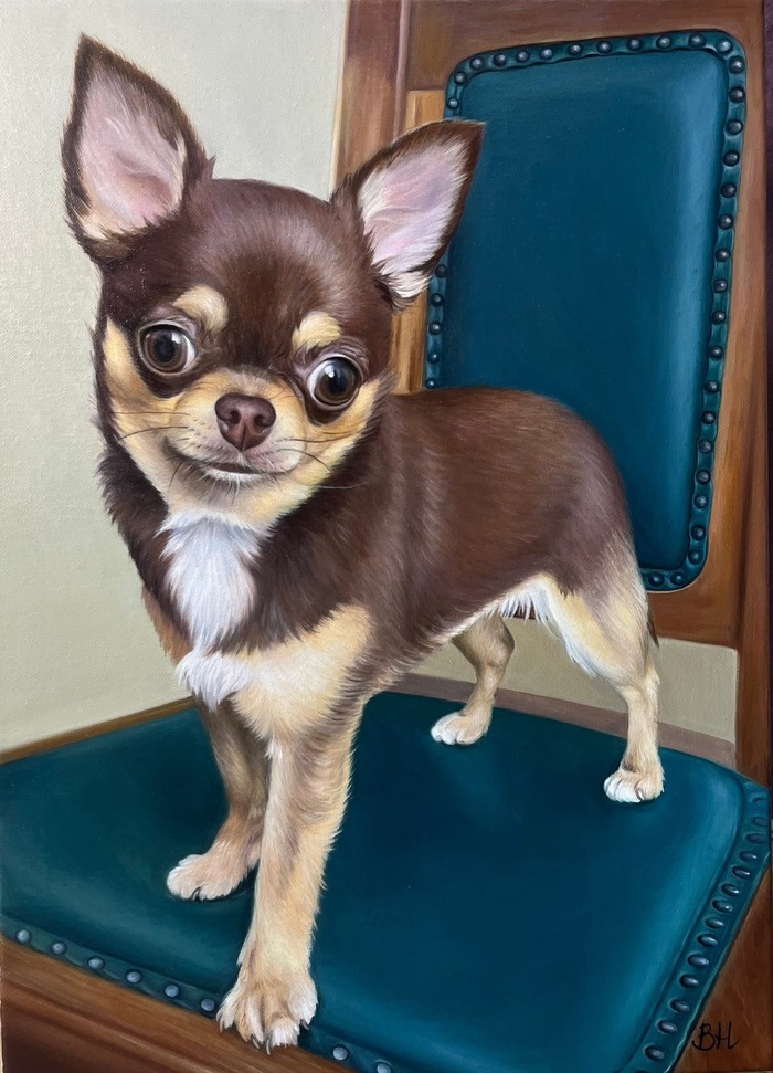 ����� 30*40, �����