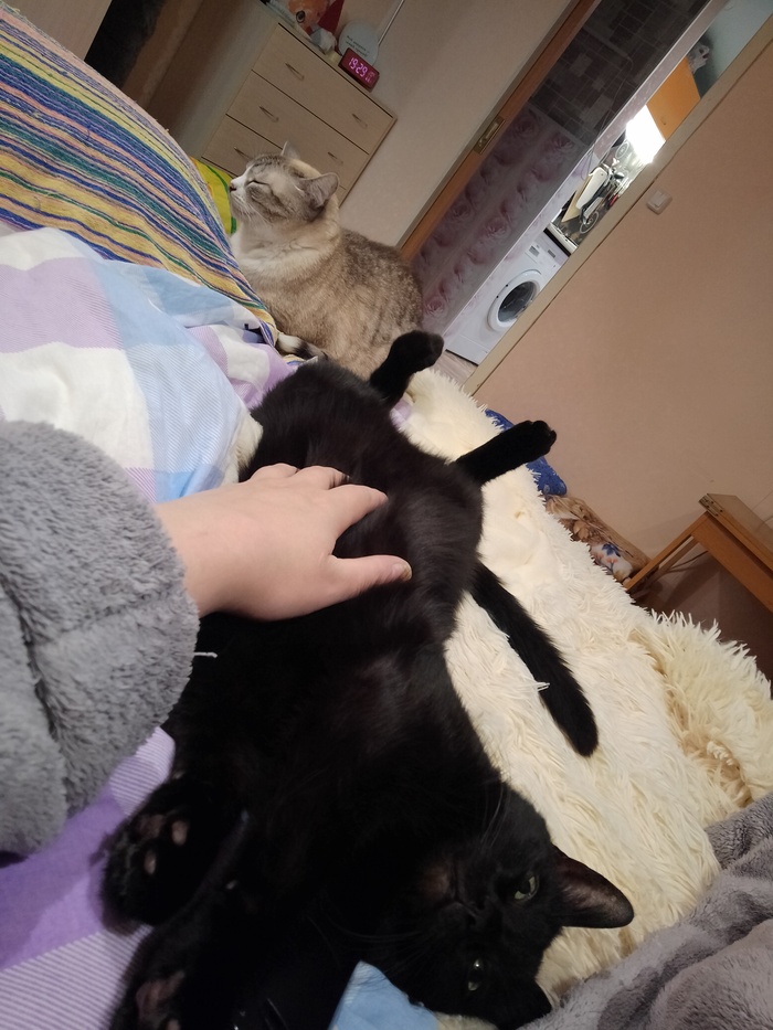 Все постят и я запостю