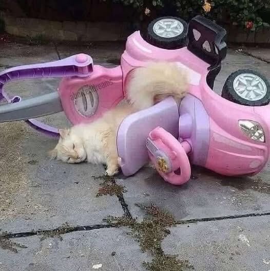 Не употребляйте валерьянку за рулём